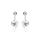 Crystal & Silver Ohrstecker Classic Cut