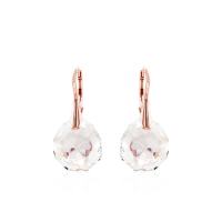 Crystal & Silver Ohrhänger Majestic