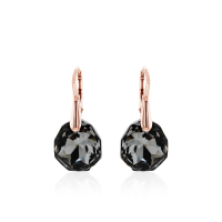 Crystal & Silver Ohrhänger Majestic